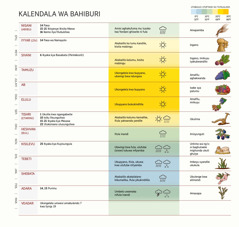 Itchati lya kalendala wa Bahiburi likunangisya imyesi, ifyinja, ifyakubombiwa, ukuchenja kwa kabalilo nifyakumela.