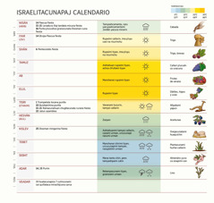 Cai recuadropica israelitacuna ima quillacunapi fiestacunata ruraj cashcata, ima quillacunapi rupai, chiri, tamya tiyashcatapishmi ricuchin.