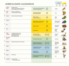 Juc dibujo hebreo calendariupita, chaycho yurimun quillacuna, fiesta junajcuna, ima clima cashganta y cosecha wichancuna.