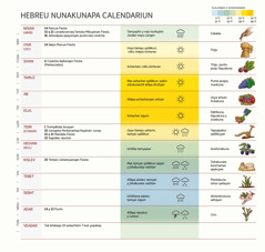 Hebreu nunakunapa calendariun. Tsëchömi killakuna, fiestakunata imë rurayanqan, alalanqanta o achachanqanta y imata cosechayanqanta rikätsikun.