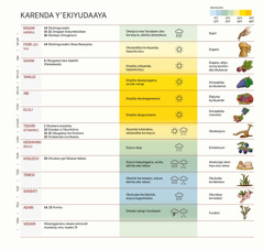 Kyati ya karenda y’Ekiyudaaya eriho ameezi, emikoro, embeera y’obwire, n’ebihingwa.