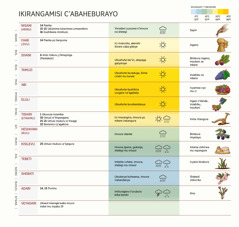 Ikirangamisi c’Abaheburayo cerekana amezi, imisi mikuru, ibihe be n’ibiterwa.