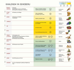 Tšhate ya gore yi šupetsa khalenda ya Seheberu ya gore yi nyaretsa dikgwedi, menyanya, tsa gore bo sele byang le tso ba di gašang.