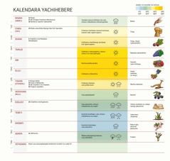 Tchati cha kalendara Yachihebere icho palembeka myezi, viphikiro na mazuŵa ghakukumbukira, nyengo ya kotcha panji kuzizima, kweniso mbuto.