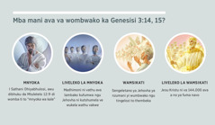 Mifota: “Mba mani ava va wombwako ka Genesisi 3: 14, 15?.” 1. Mnyoka: Sathani, i ku txivangwa txa moya. 2. Liveleko la mnyoka, i ku madhimoni. 3. Wamsikati: tingelozi to thembeka. 4. Liveleko la wamsikati: Jesu Kristu ni va a no ya fuma navo. Timhaka tiya ti maneka ka paragrafu 4, 5, 7, ni 8.