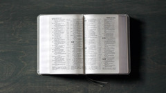 An open Bible.