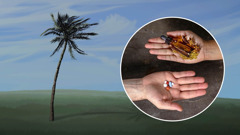 L’arbre souple se plie lors d’une tempête. Dans un médaillon, on voit deux mains : dans l’une se trouvent des comprimés prescrits sur ordonnance ; dans l’autre, un traitement à base de plantes et un flacon de gouttes homéopathiques.