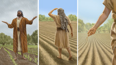 סדרת תמונות:‏ 1.‏ חקלאי זורע זרעים בשדה.‏ 2.‏ הוא סורק את השדה כדי לראות אם הגידולים צמחו.‏ 3.‏ הוא עומד בשמחה בין היבולים הצעירים כשהגשם יורד.‏