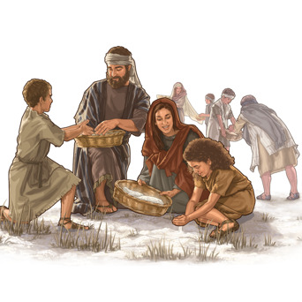 Questions From Readers—Did the Israelites Have Anything to Eat in the