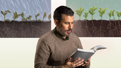 Un hermano lee la Biblia. Serie de imágenes: 1. La lluvia cae con fuerza y encharca la tierra en la que crecen unas plantas. Como resultado, las plantas sufren daños. 2. La lluvia cae poco a poco, y la tierra en la que crecen unas plantas la absorbe. Como resultado, las plantas crecen fuertes y sanas.