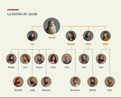 Gráfico con el árbol familiar de Jacob, que tuvo dos esposas —Lea y Raquel⁠— y dos concubinas —Bilhá y Zilpá⁠—. Con Lea tuvo a Rubén, Simeón, Leví, Judá, Isacar, Zabulón y Dina; con Raquel tuvo a José y Benjamín, con Bilhá tuvo a Dan y Neftalí, y con Zilpá tuvo a Gad y Aser.