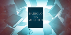 Baibolo wa Mushilo na mabuuku umo mwingasanga ifyebo na fimbi.
