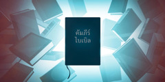 คัมภีร์​ไบเบิล​วาง​อยู่​กับ​หนังสือ​ค้นคว้า​อื่น​ ๆ