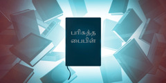 நடுவில் பரிசுத்த பைபிளும் அதை சுற்றி நிறைய ஆராய்ச்சி புத்தகங்களும் இருக்கின்றன.