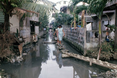 En un barrio inundado, dos hermanas que van a predicar caminan sobre tablas de madera para evitar el agua.