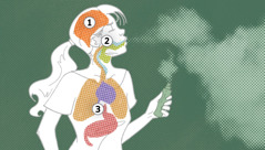 A silueta dunha muller nova usando un cigarro electrónico. As distintas zonas que están destacadas representan os órganos que están en risco: 1. O cerebro. 2. A boca. 3. Os pulmóns, o corazón e o estómago.