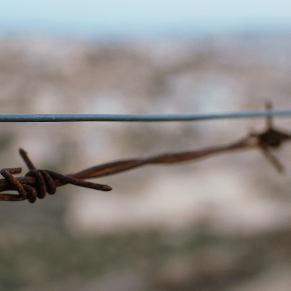 忠節な愛が憎しみに勝利するのはいつか Jw Org ビデオ