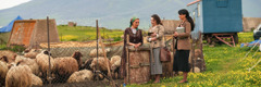 Two of Jehovah’s Witnesses preaching to a woman who is tending sheep in a mountainous region.