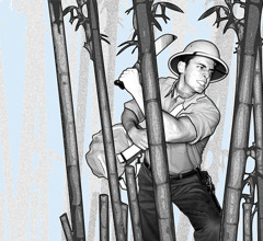 Ein Mann bahnt sich mit einem Buschmesser den Weg durch einen Dschungel