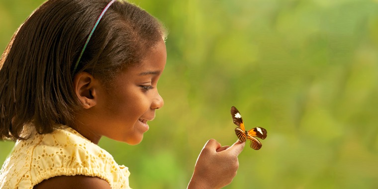A girl, a living soul, looking at a butterfly, another living soul