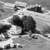 An aerial view of Watchtower Farms 50 years ago