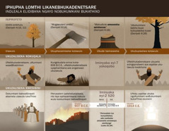 Chart of dates and events related to Nebuchadnezzar’s dream