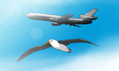Un avión y un ave volando