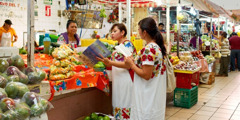Zeugen Jehovas sprechen auf einem Markt mit einer Frau über Gott und benutzen dabei eine Broschüre in ihrer Muttersprache