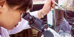 Uma mulher olha ao microscópio