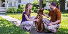 Un matrimoni davant de sa casa amb un gos