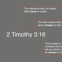 Bible books, chapters, and verses