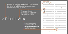 Cómo encontrar un versículo en la Biblia usando como ejemplo 2 Timoteo 3:16. Lo primero que aparece en la referencia es el nombre del libro bíblico, en este caso, 2 Timoteo (vea el orden más común de los libros de la Biblia en la siguiente lista). El primer número indica qué capítulo buscar, en este caso, el 3. El número o números que siguen indican qué versículo o versículos leer, en este caso, el 16.