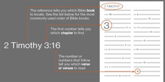 How to find Bible verse, make we use 2 Timothy 3:16 as example. This one de tell you the Bible book wey you de find, like the book of 2 Timothy (check the list for under to see the normal way wey them de use arrange Bible books). The first number de tell you which chapter you go find, like chapter 3. The number or numbers wey come after the first number de tell you which verse or verse them wey you go find, like verse 16.