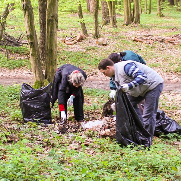 Los testigos de Jehová ayudan a limpiar un bosque cerca de Lviv, en Ucrania