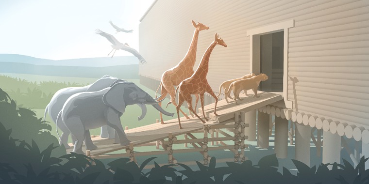 Elephants, giraffes, lions, and birds go into the ark
