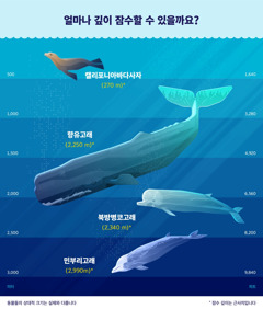 네 종류의 해양 포유동물이 얼마나 깊이 잠수할 수 있는지 보여 주는 도표. 1. 캘리포니아바다사자: 270미터. 2. 향유고래: 2250미터. 3. 북방병코고래: 2340미터. 4. 민부리고래: 2990미터.
