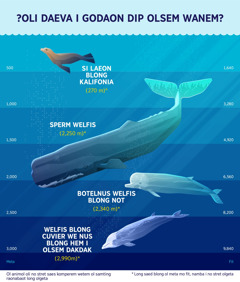 Wan jat we i soemaot olsem wanem fo animol blong solwota oli save daeva i godaon dip. 1. Si laeon blong Kalifonia: 270 meta. 2. Sperm welfis: 2,250 meta. 3. Botel nus welfis blong not: 2,340 meta. 4. Welfis blong Cuvier we nus blong hem i olsem dakdak: 2,990 meta.