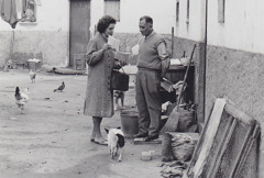 Phyllis witnessing to a man in front of his home as dogs and chickens wander in the street.