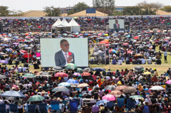 Brothers and sisters gathered at an outdoor convention, watching an interview on large video screens.